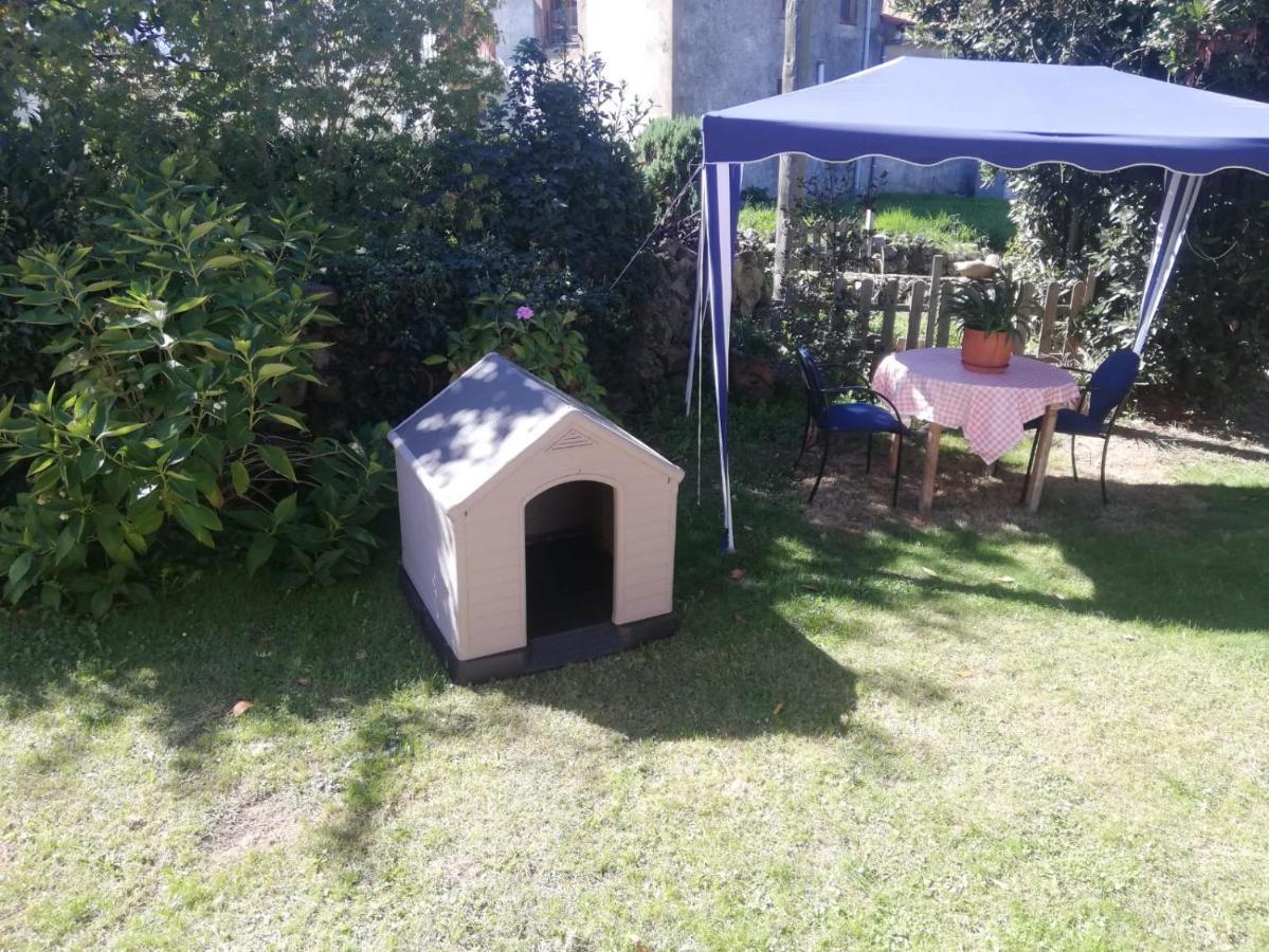Chalet Valle de Cabuérniga: Pet-Friendly Family Retreat Lamina Exterior photo